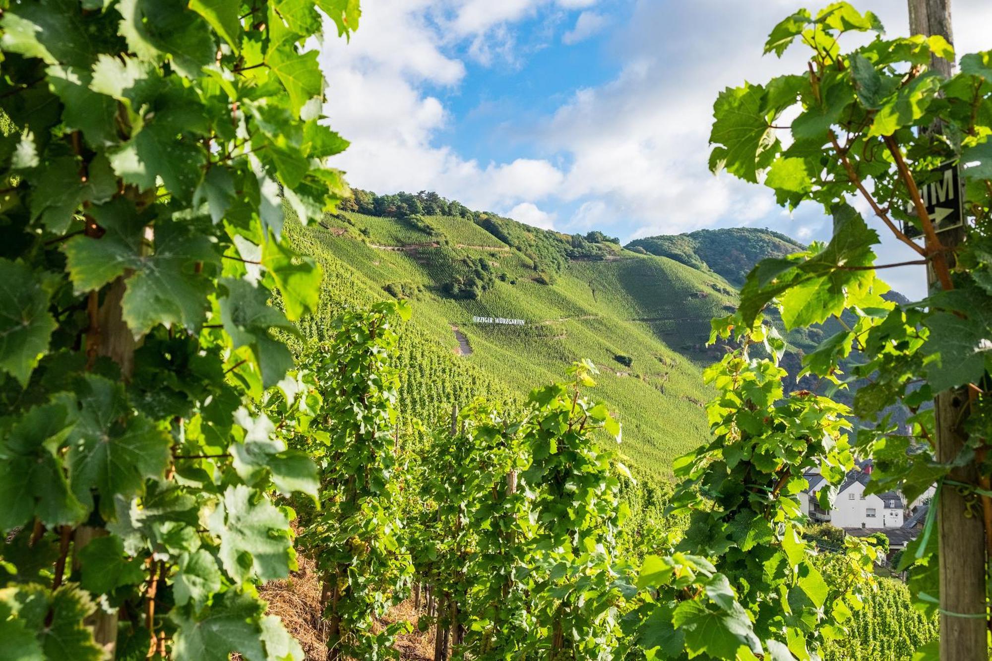 Weingut / Gaestehaus Gerlach Ирциг Экстерьер фото