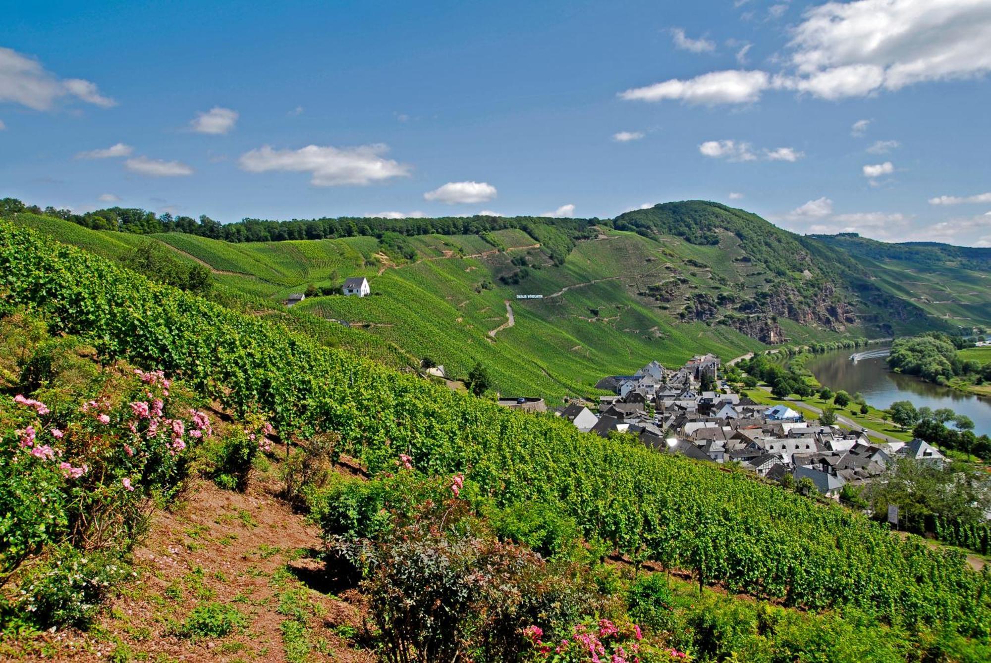Weingut / Gaestehaus Gerlach Ирциг Экстерьер фото