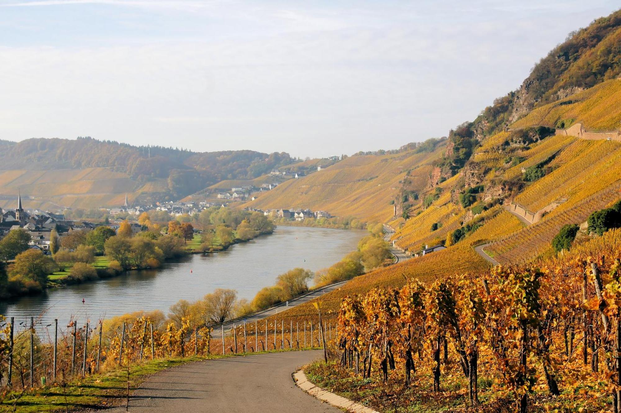 Weingut / Gaestehaus Gerlach Ирциг Экстерьер фото