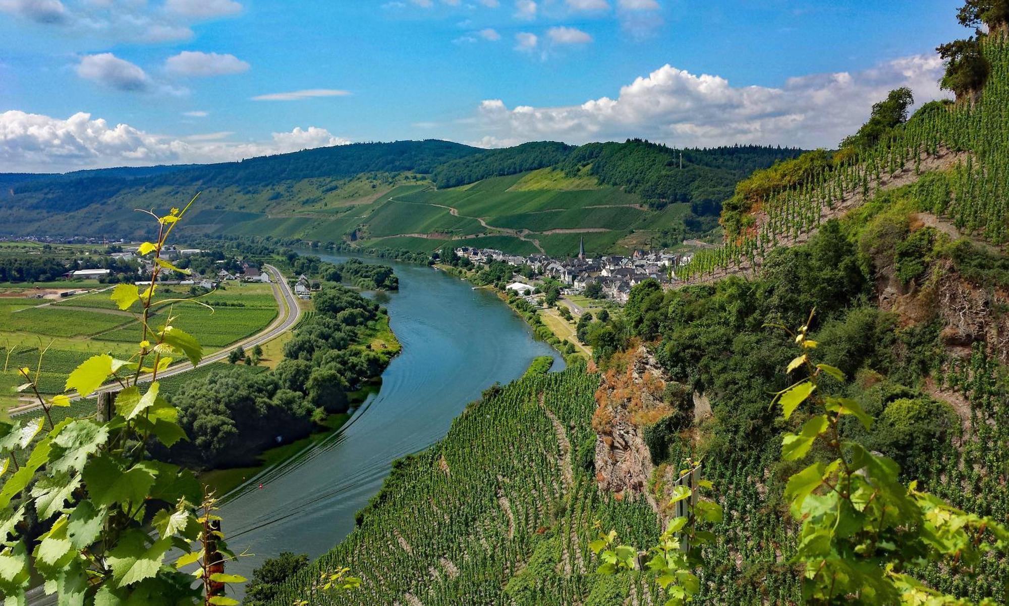 Weingut / Gaestehaus Gerlach Ирциг Экстерьер фото