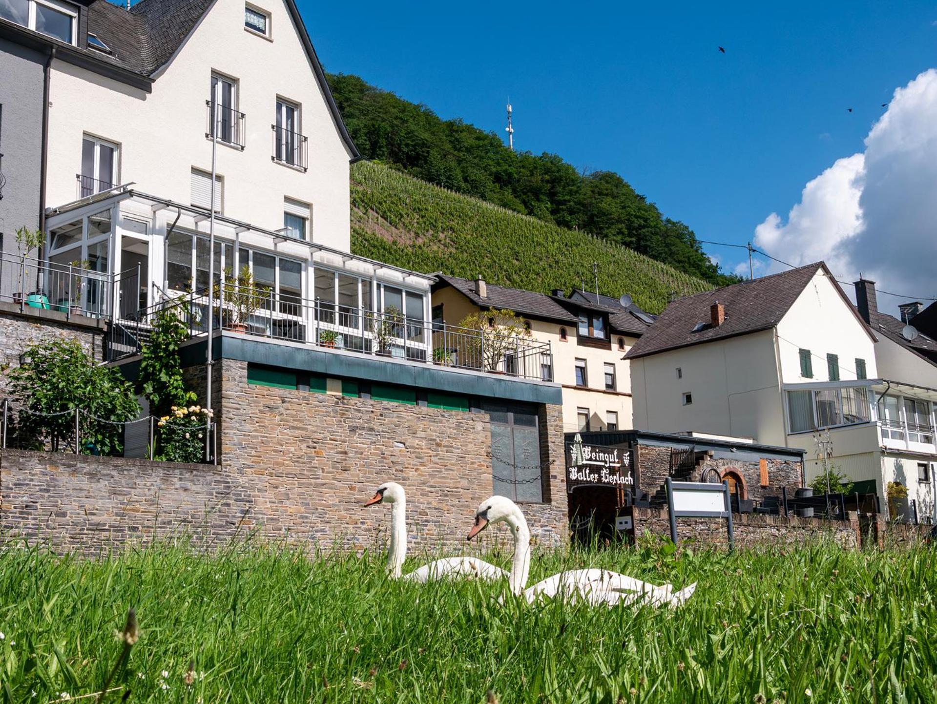 Weingut / Gaestehaus Gerlach Ирциг Экстерьер фото