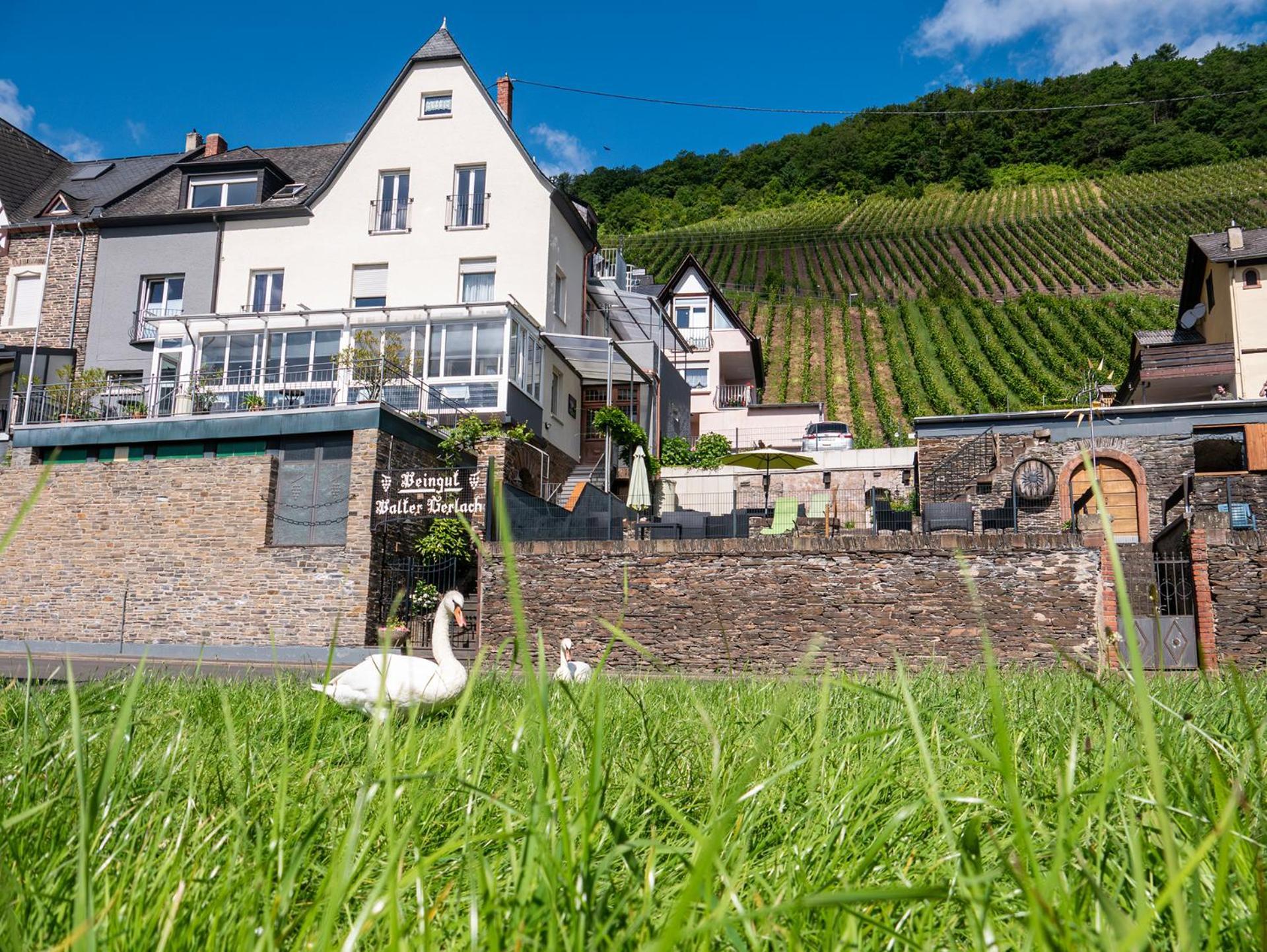Weingut / Gaestehaus Gerlach Ирциг Экстерьер фото