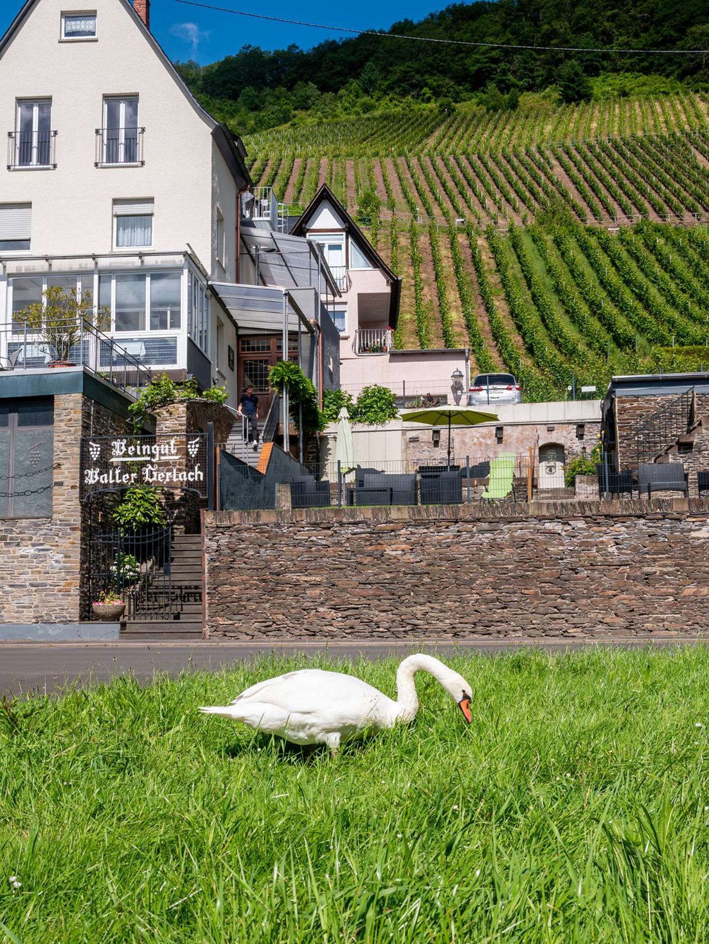 Weingut / Gaestehaus Gerlach Ирциг Экстерьер фото