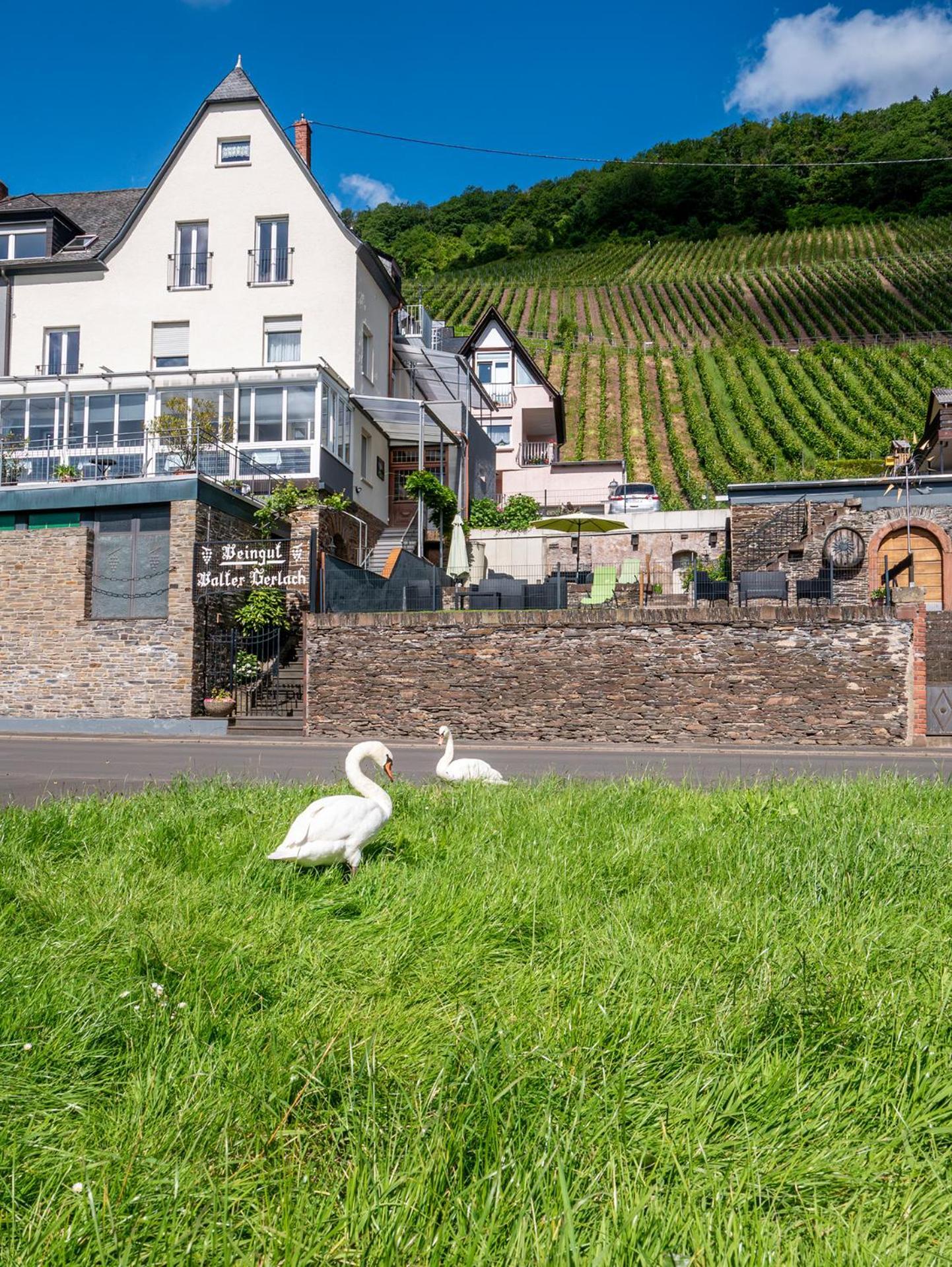 Weingut / Gaestehaus Gerlach Ирциг Экстерьер фото